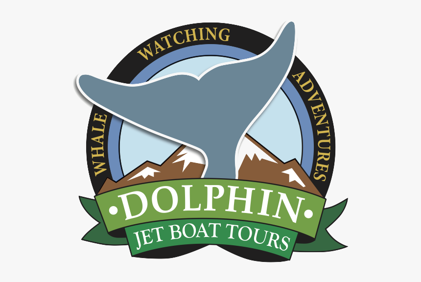 Dolphin Jet Boat Tours - Flame Lily Adventures, HD Png Download