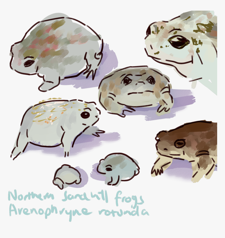 Cartoon, HD Png Download