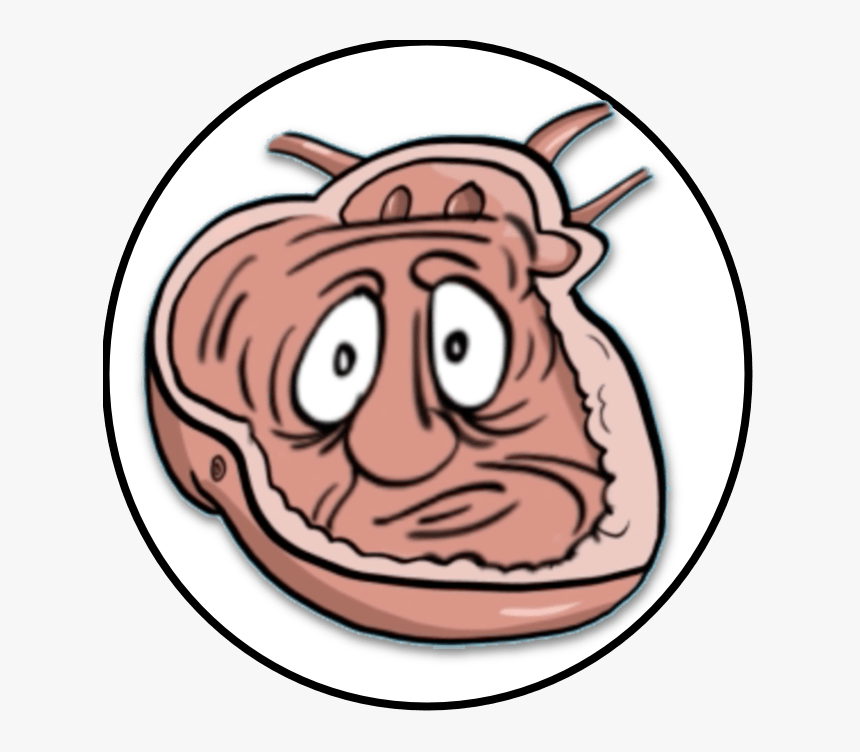 Movement Clipart Shake Body, HD Png Download