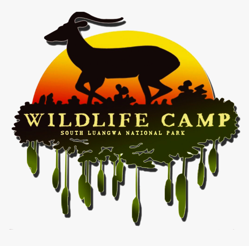 Safari, HD Png Download