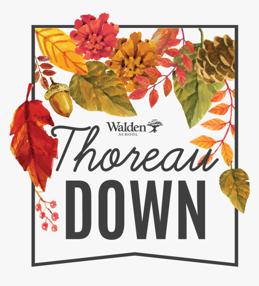 Digital Thoreau Down 2019 Logo Transparent Background - Poinsettia, HD Png Download