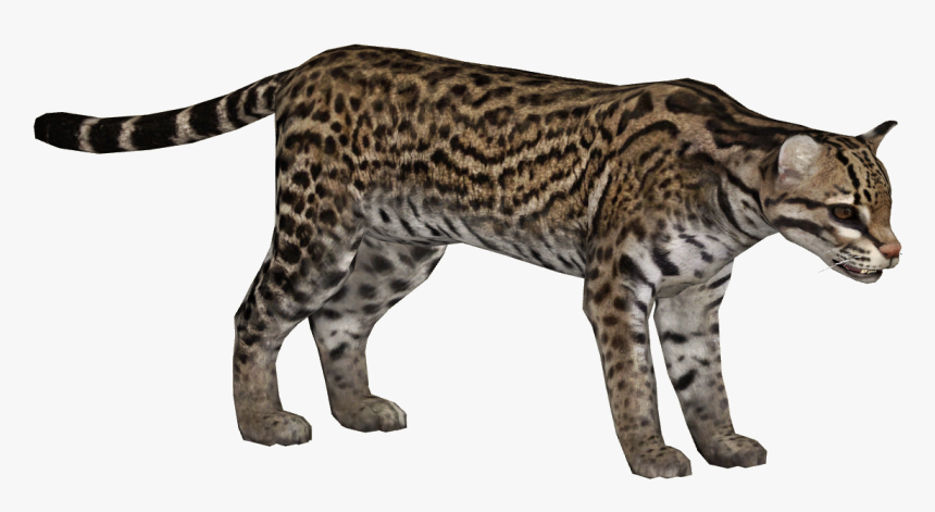Ocelot - Zoo Tycoon 2 Ocelot, HD Png Download