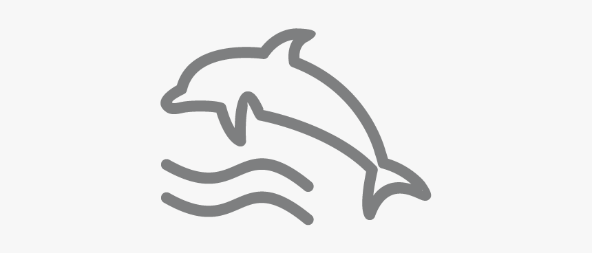 Lessons From Dolphins - Vector Graphics, HD Png Download