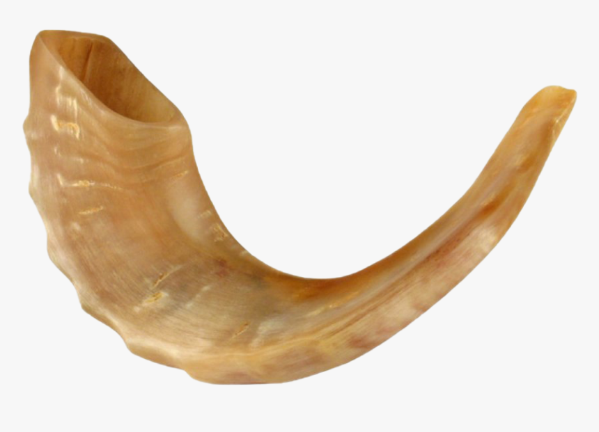 Shofar Png Free Download - Shofar Horn For Sale, Transparent Png