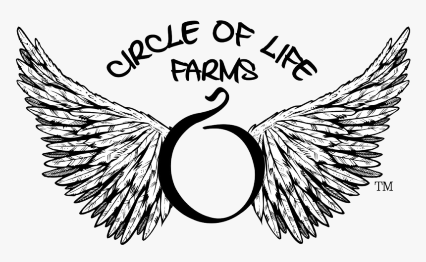 Circle Of Life Farms 😀 - Guitar Band Logo, HD Png Download