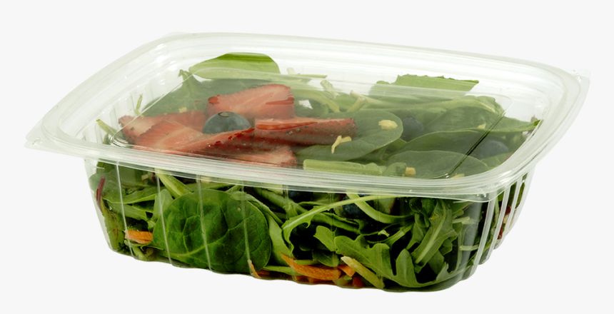 World Centric Clear, Rectangular Deli - Envases Biodegradables Para Ensaladas, HD Png Download