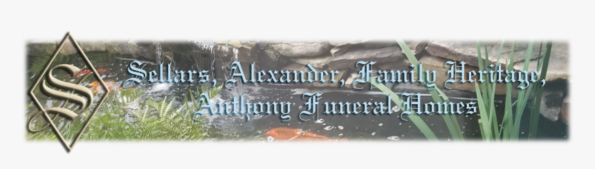 Shore, HD Png Download