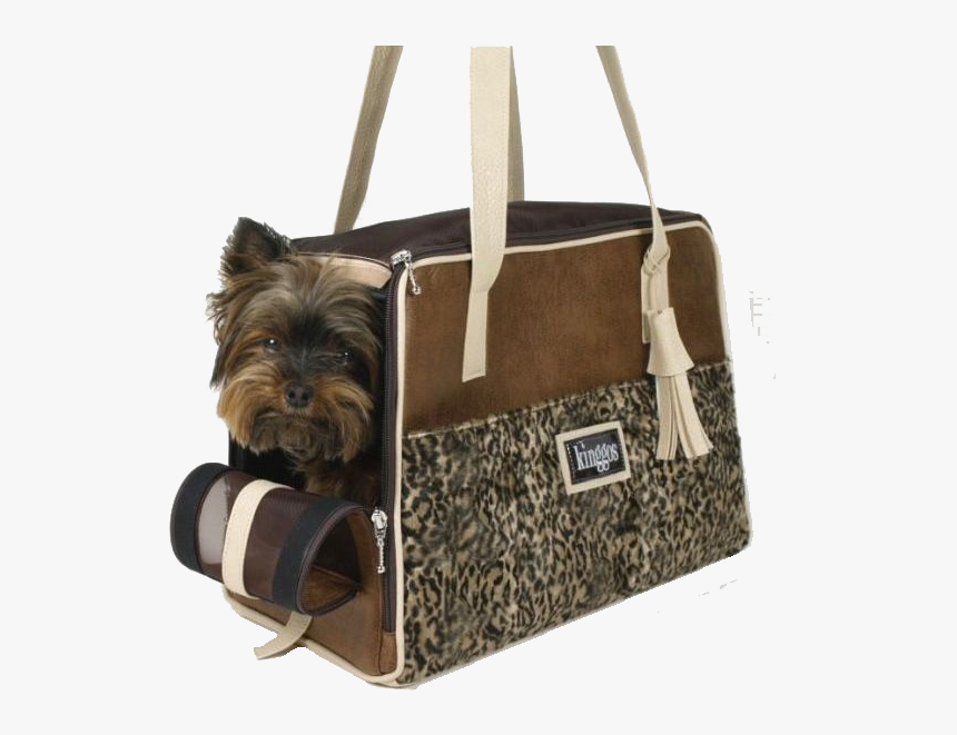 Yorkshire Terrier, HD Png Download