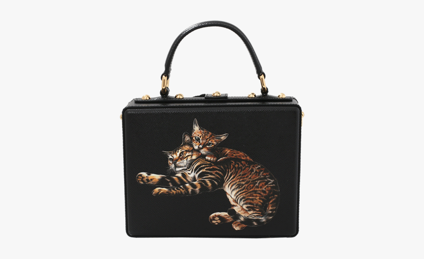 Du0026g Cat Print Box Bag - Handbag, HD Png Download