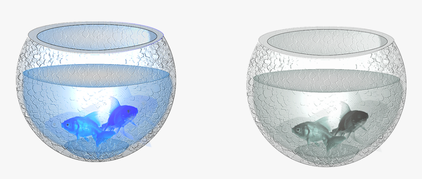 Aquarium, Container, Bowl, Fish, Red Fish, Drawing - Ceramic, HD Png Download