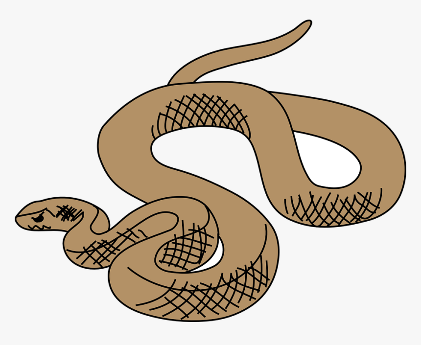 Snake, Brown, Reptile, Slithering, Curled, Slither - Brown Tree Snake Clipart, HD Png Download
