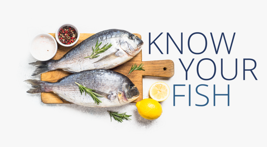 Sea Bass, HD Png Download