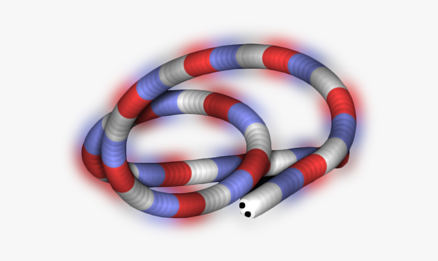 Sonoran Coral Snake, HD Png Download