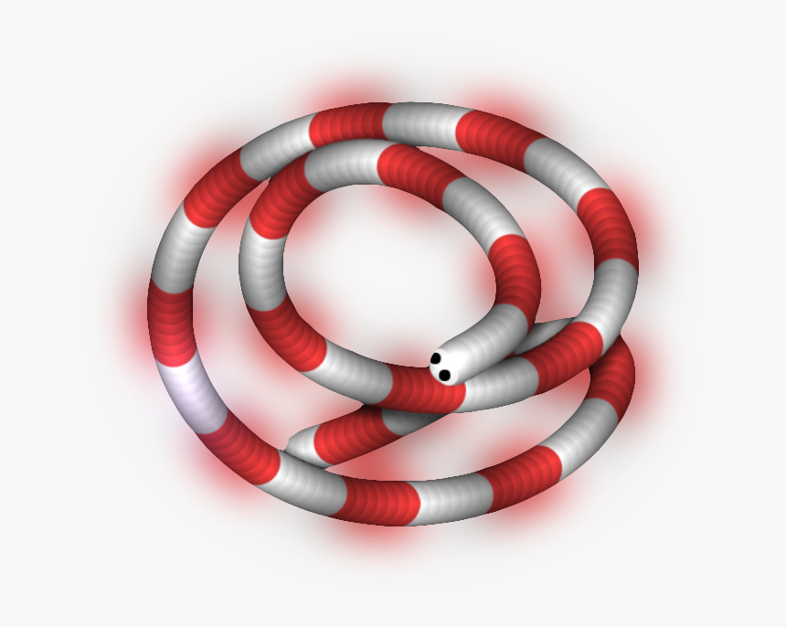 Sonoran Coral Snake, HD Png Download