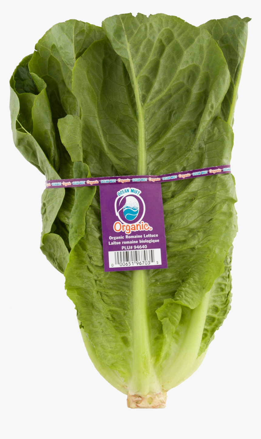 Spinach, HD Png Download