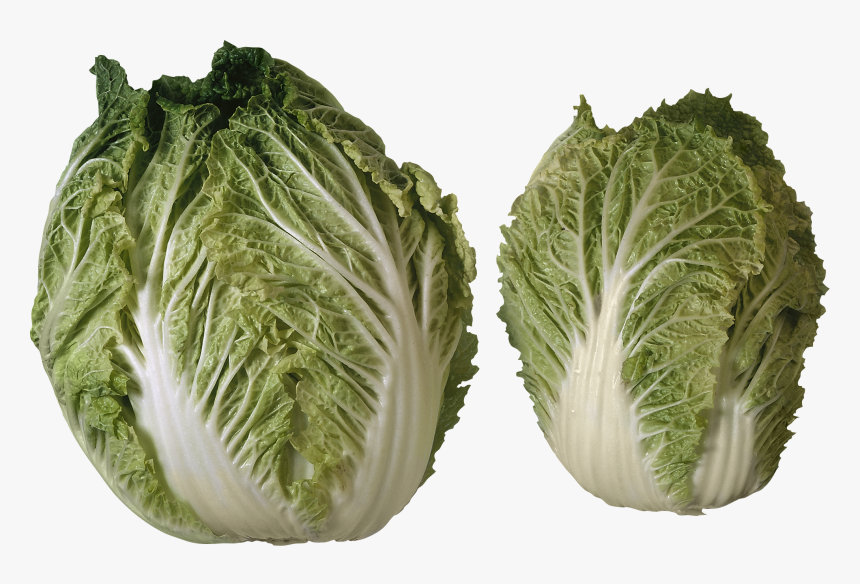 Salad Png Image - 2 Heads Of Lettuce, Transparent Png