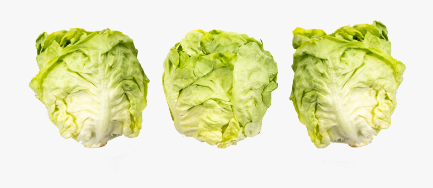 Iceburg Lettuce, HD Png Download