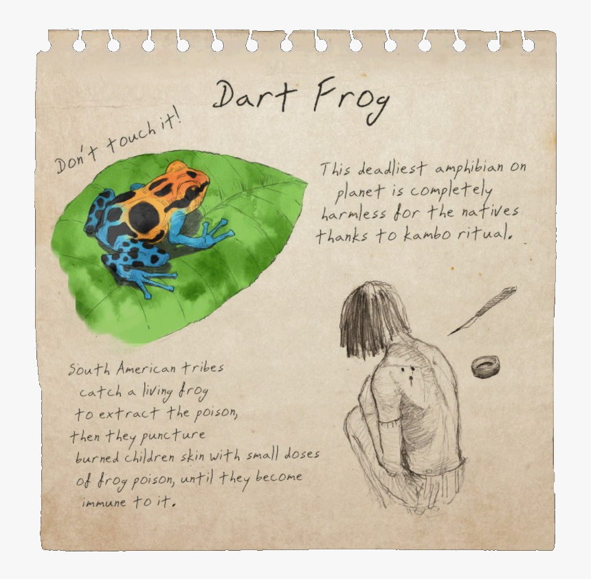 Dart Frog Notebook Page - Green Hell Dart Frog, HD Png Download