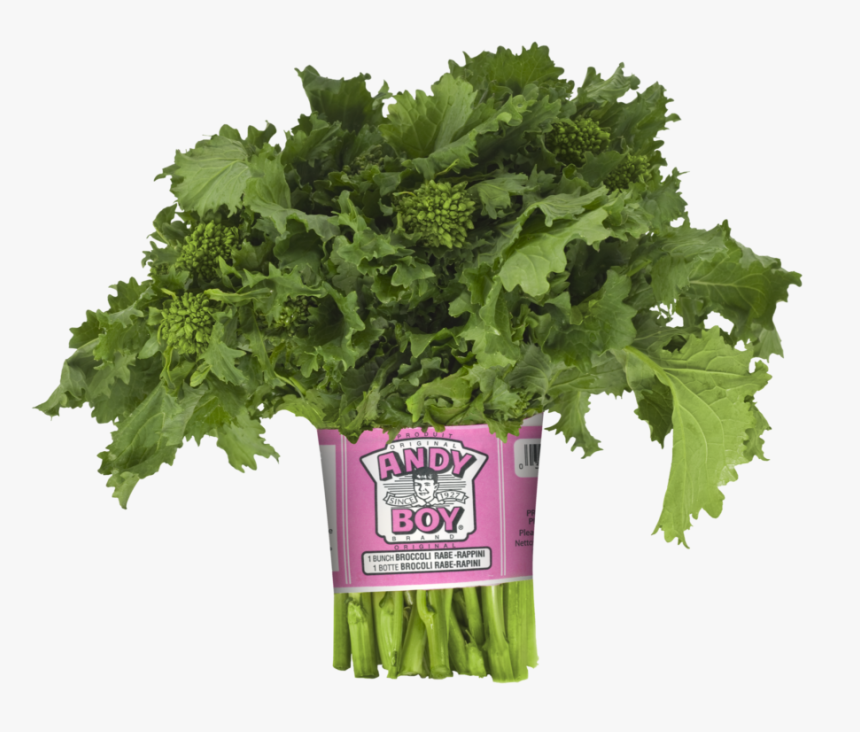 Broccoli - Andy Boy Broccoli Rabe, HD Png Download