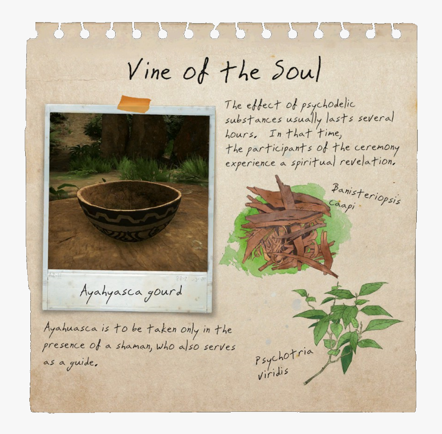 Vine Of Soul Notebook Page - Herbal, HD Png Download