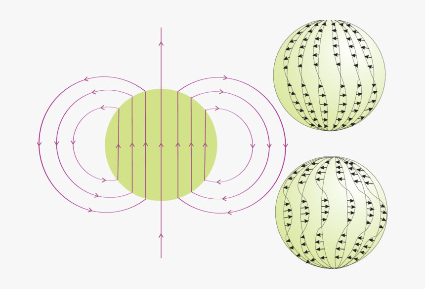 Circle, HD Png Download