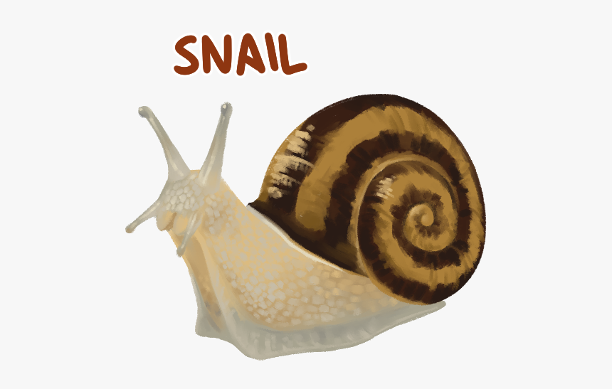 Minecraft, HD Png Download