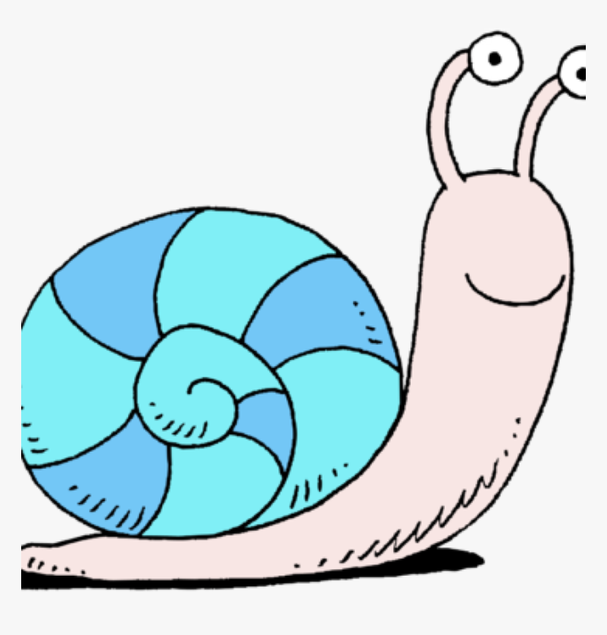 Png Download , Png Download - Snail Free Clipart, Transparent Png
