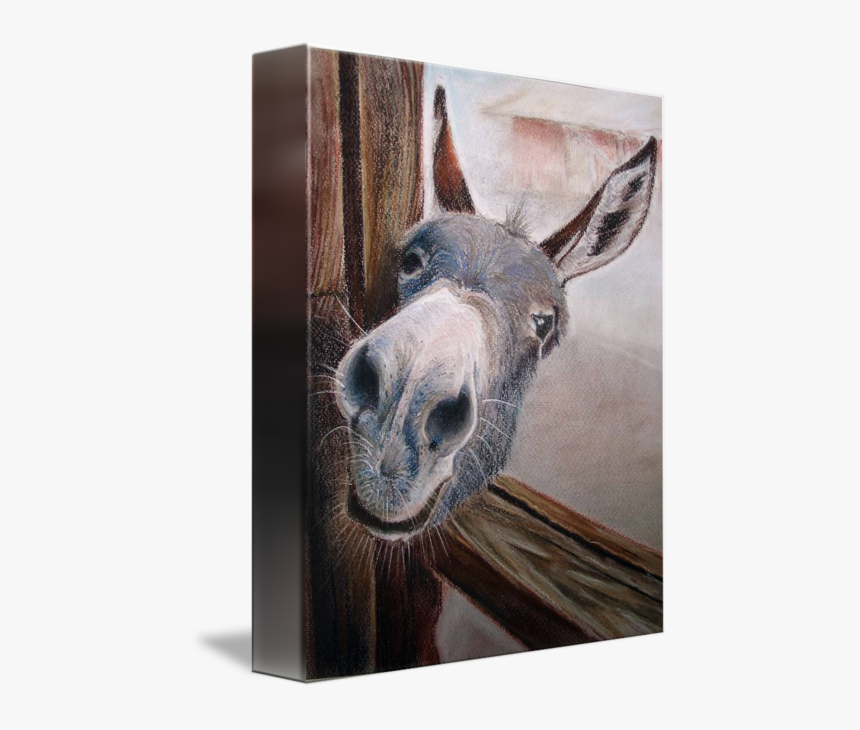 Funny Good Night Donkey, HD Png Download