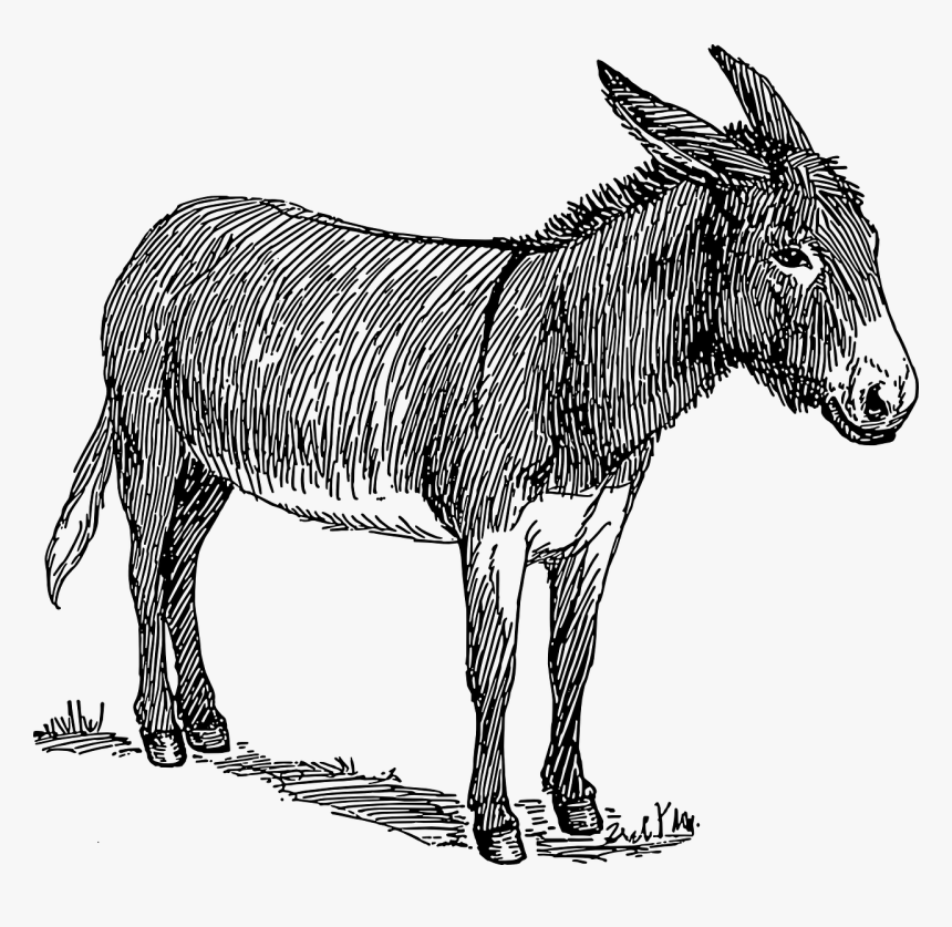 Donkey Clipart Black And White, HD Png Download