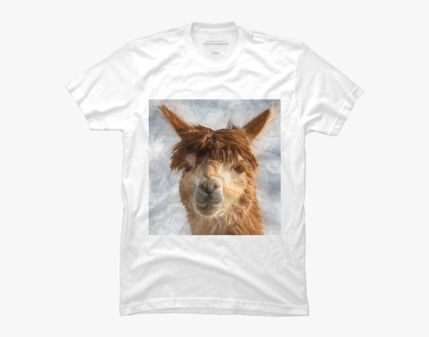 Transparent Llama Head Png - Llama, Png Download