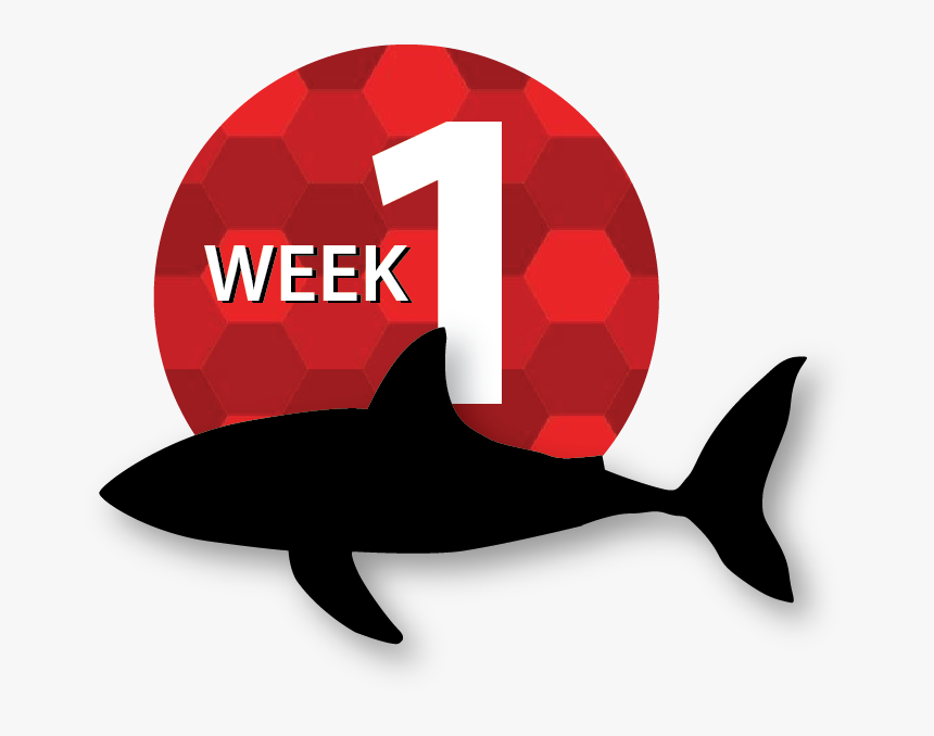 Asset 9@2x - Killer Whale, HD Png Download