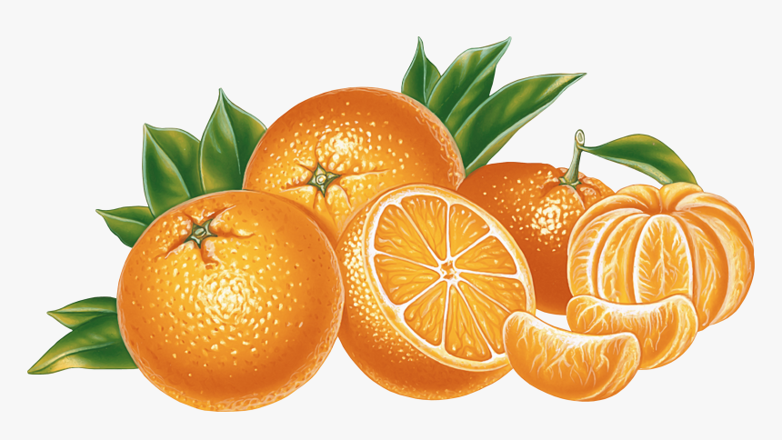 Orange Juice Download - Orange Png, Transparent Png