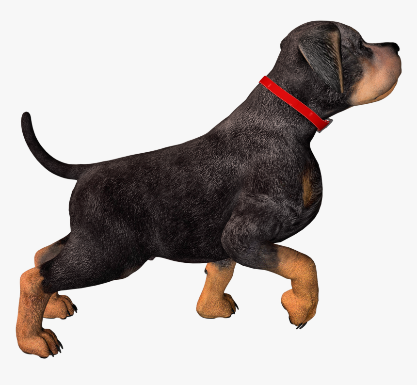 Dog High Resolution Png, Transparent Png