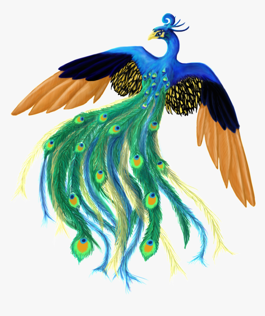 Peacock Png For Illustration, Transparent Png