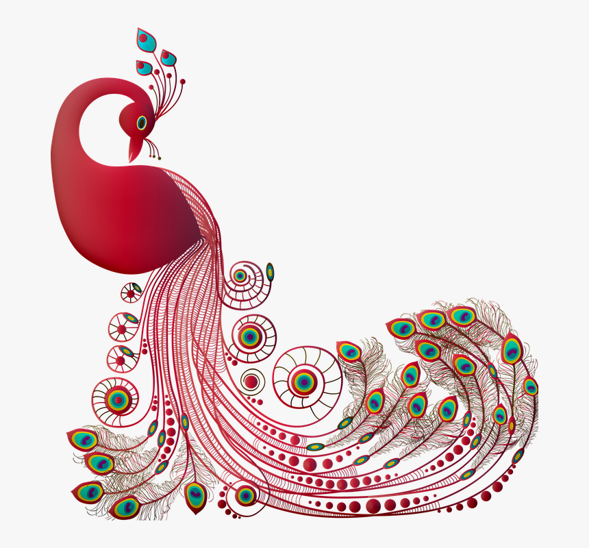 Peacock, Graceful, Bird, Animal, Plumage, Raptor, Wing - Png Embroidery Designs, Transparent Png