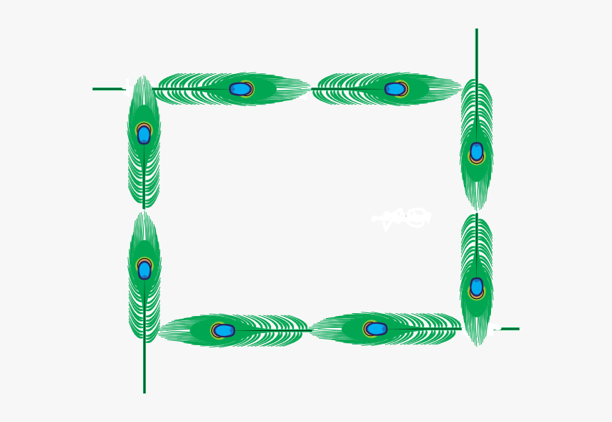 Page Border Feathers Png, Transparent Png