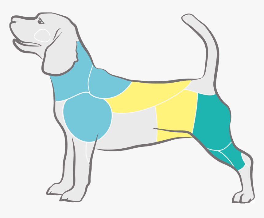 Img - Harrier, HD Png Download