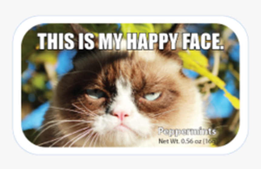 Data Mfp Src //cdn - Funny Pictures Saying No, HD Png Download