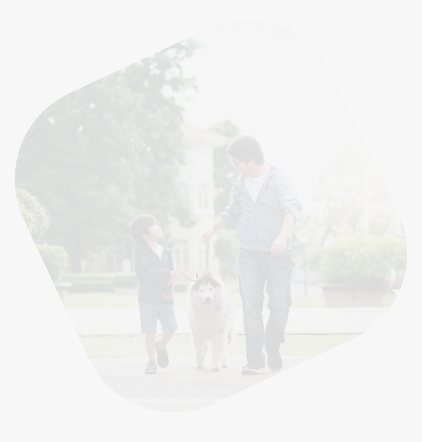 Transparent Walking Stairs Png - Dog Walking, Png Download