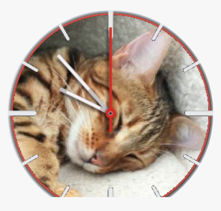 Mungotime Watch Face Preview - Tabby Cat, HD Png Download