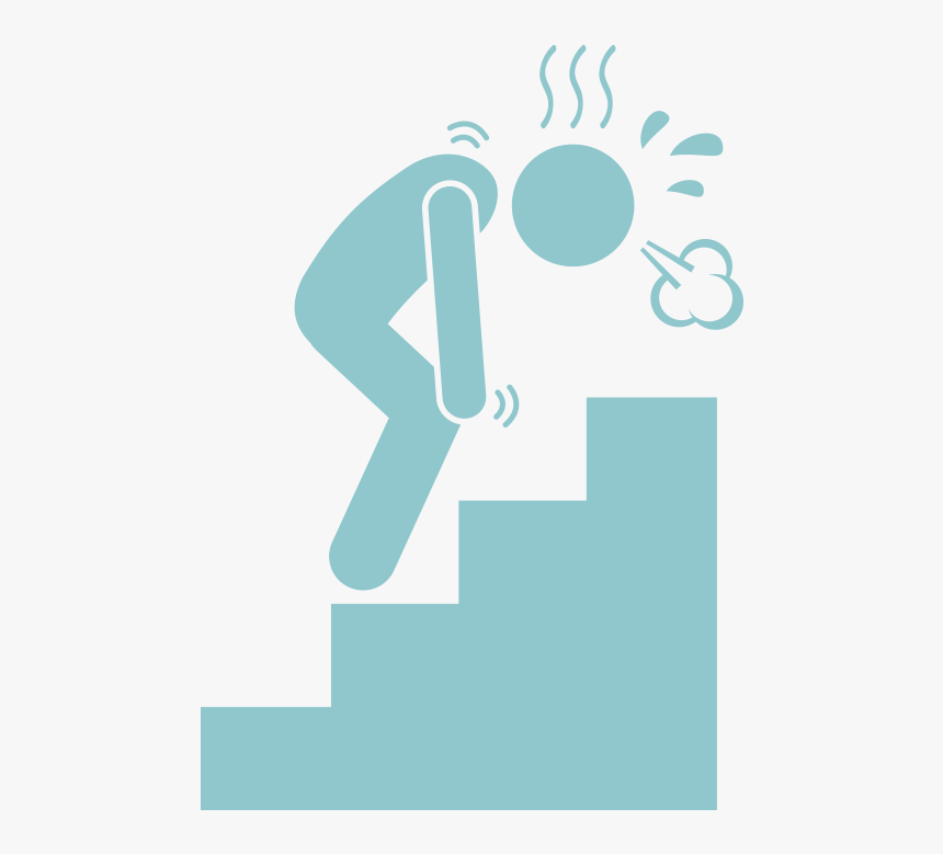 Sarcopenia Related Issues - Sarcopenia Screening, HD Png Download