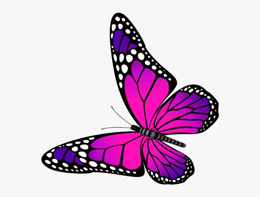 Monarch Butterfly Clipart Png Full Hd - Butterfly Pink And Purple, Transparent Png