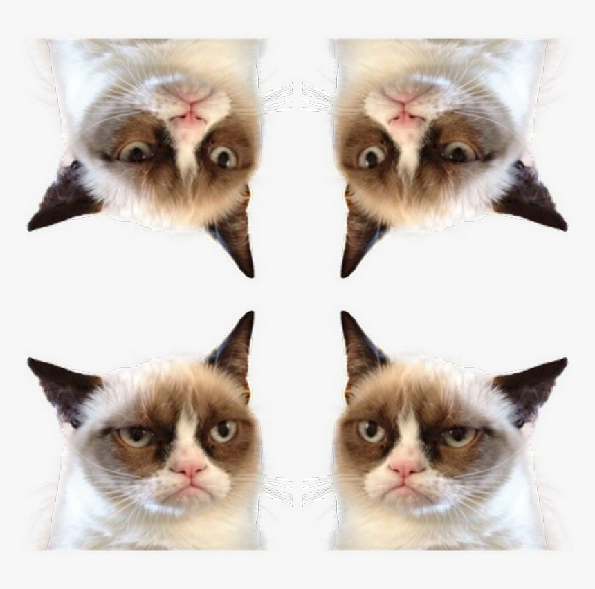 Transparent Grumpy Cat Png - Game Of Thrones Ramsay Joke, Png Download