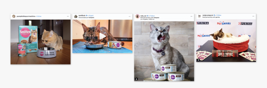 Catfluencers Sponsored Posts Cat Food - Cat Yawns, HD Png Download