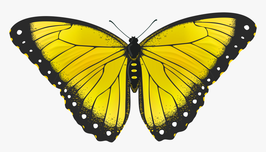 Download Monarch Butterfly Clipart Png Full Hd Yellow Butterfly Transparent Background Png Download Transparent Png Image Pngitem