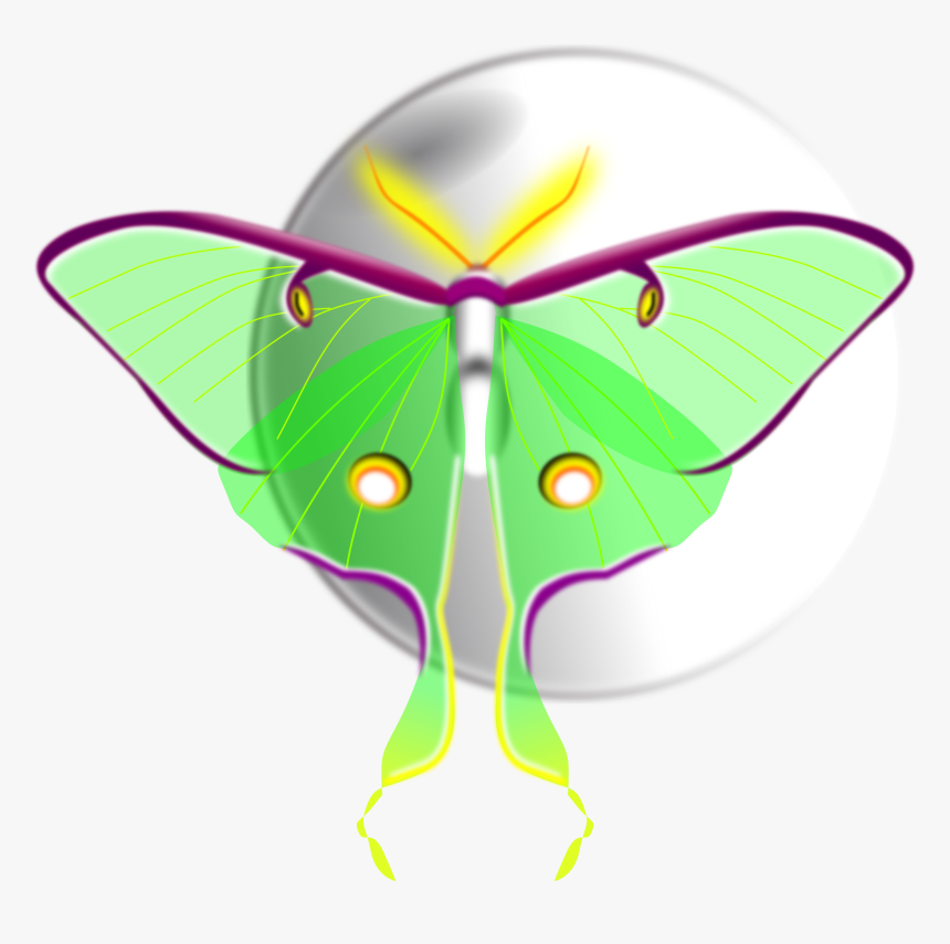 Moth Monarch Butterfly Brush-footed Butterflies Computer - Moth, HD Png Download