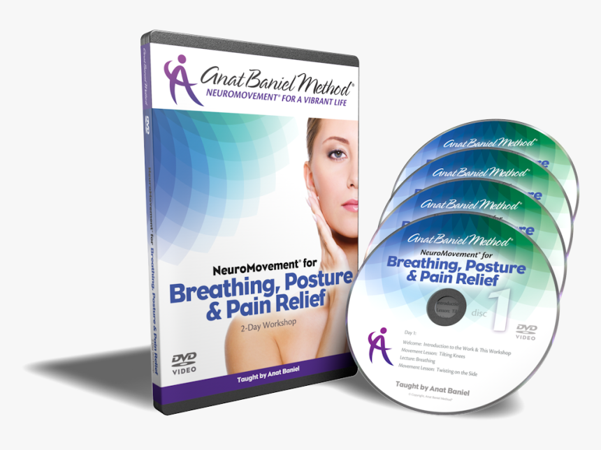 Healthy Neck And Shoulders, HD Png Download