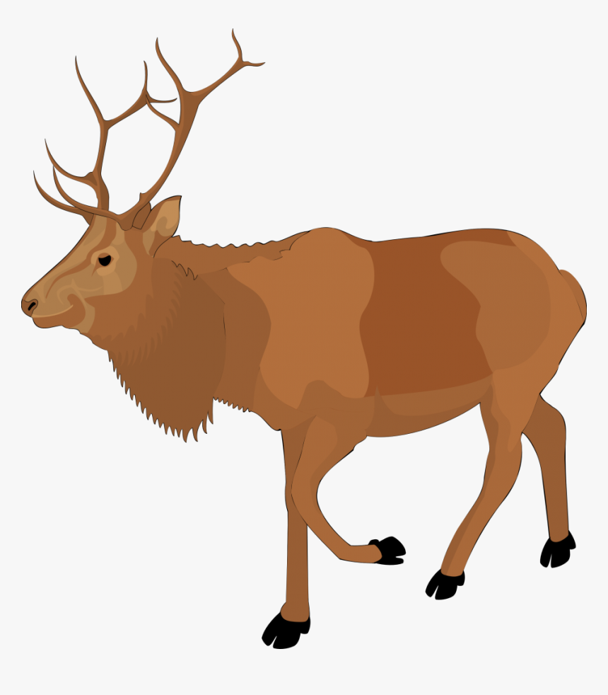 Elk Clipart, HD Png Download