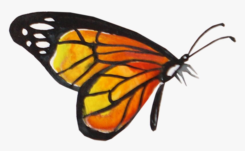 Creative Watercolor Butterfly - Transparent Background Monarch Butterfly Png, Png Download