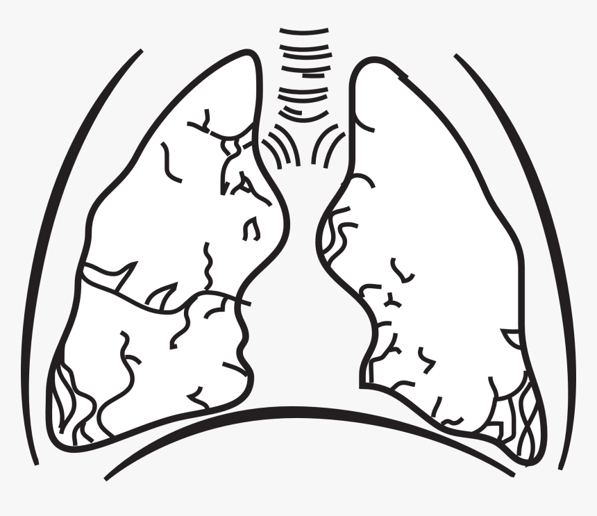 Tuberculosis Clipart Black And White, HD Png Download